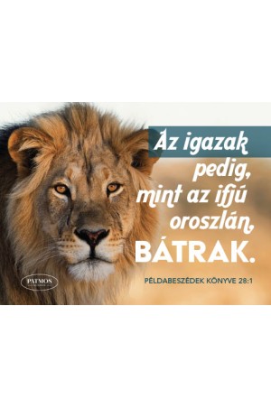 Oroszlános hűtőmágnes