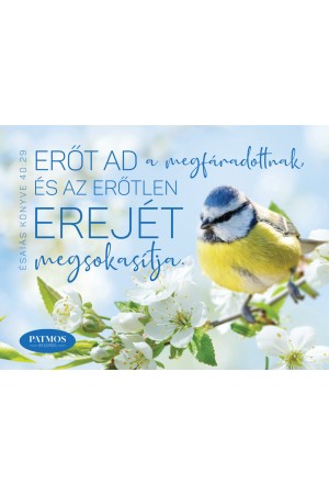 Cinke hűtőmágnes