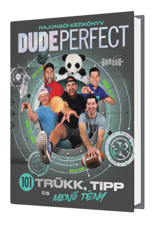 DUDE PERFECT