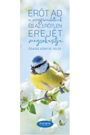 Madaras könyvjelző - Cinke
