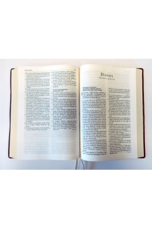 Bőr Biblia - Extra nagy - Barna