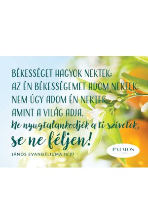 Narancsvirágos hűtőmágnes