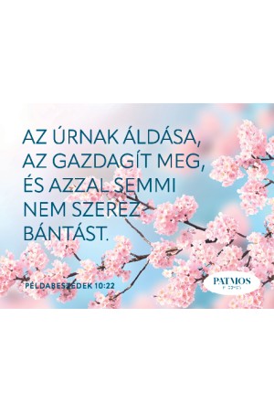Cseresznyevirágos hűtőmágnes