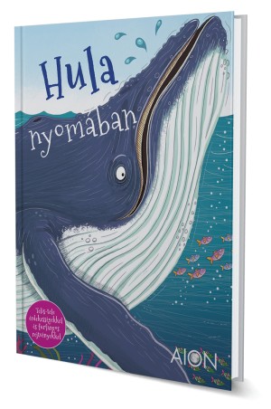 Hula nyomában
